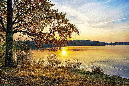 湖边的秋夕日落红色水面生态树叶分支机构天空金子反射黄色射线图片