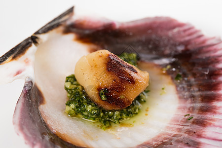 海红扇贝的演播室特写烹饪奢华餐厅美味盘子贝类起动机饮食美食紫色图片