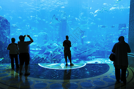 大型水族馆旅游建筑奢华旅行蓝色城市地标房间酒店假期图片