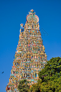 Meenakshi 安曼寺寺庙历史性风景宗教旅游神庙地标景点胜地图片