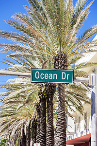 迈阿密海滩著名的街道图片