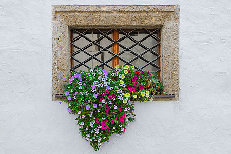 欧洲老房子窗外的花朵多姿多彩高清图片