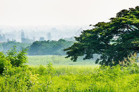 带田野的风景天空天气绿色季节蓝色树木薄雾森林山脉溪流背景图片