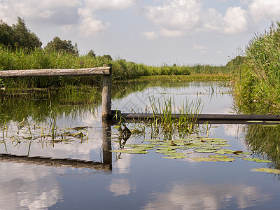 荷兰水道自然性质图片