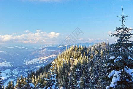 冬季山地景观爬坡环境太阳国家季节旅游场景远足荒野森林图片