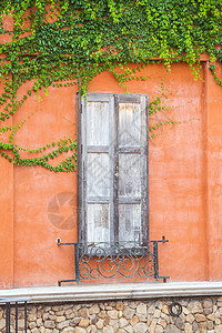 意大利家庭风格村庄植被房子小屋藤蔓植物树叶环境建筑生活图片