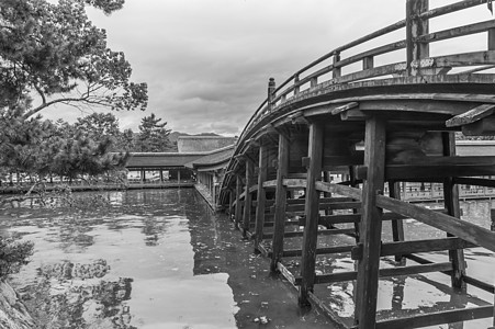 日本桥石头巨石地标池塘植物蕨类树木圆圈公园松树图片