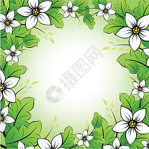 矢量花卉框架创造力叶子绿色插图植物空白背景图片