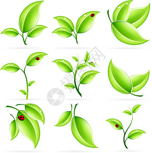 绿色新绿休假图标集插图空白生物生长标识白色回收生活叶子艺术图片