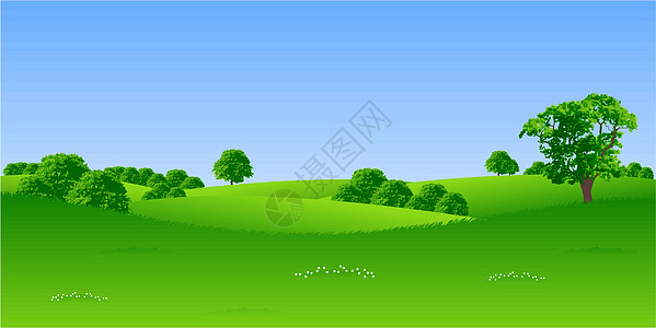 夏季风景森林爬坡叶子力量环境橡木蓝色花朵插图全景图片