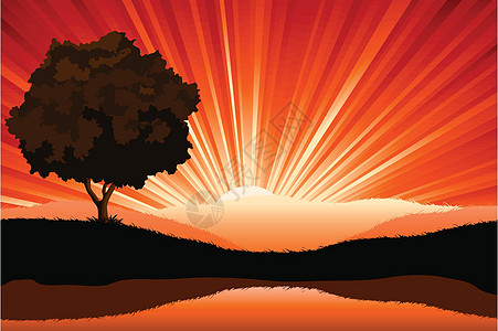 惊人的自然日出风景 树影 矢量i插图射线太阳光太阳图片