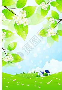 绿色景观与房屋场地土地建筑蓝色植物环境洋甘菊衬套房子插图图片
