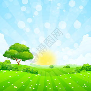 带树的绿色景观云景衬套草地场地场景地平线插图土地植物天空图片