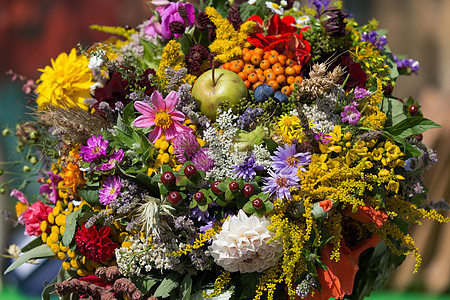 鲜花和草药的美丽花束绣球花吸附作品植物群草本植物大叶甘菊收成季节花园图片