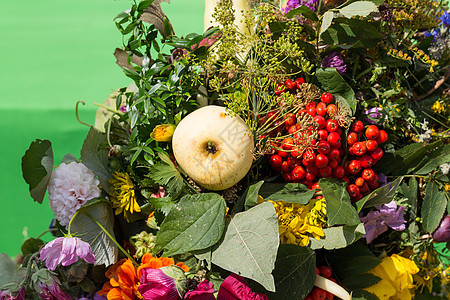 鲜花和草药的美丽花束绣球花大叶季节吸附甘菊作品雏菊薄荷大麦风格图片