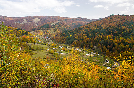 秋季村农村农场环境土地植物风景叶子季节村庄假期图片