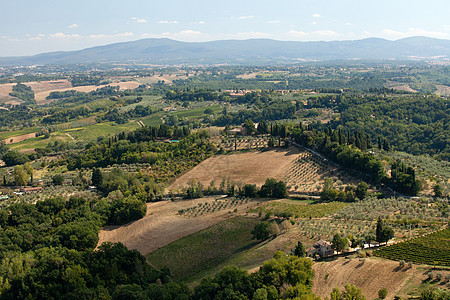 圣吉米尼纳诺周围的山丘 托斯卡纳灌木作物葡萄园植被农村全景种植园风景建筑学丘陵图片