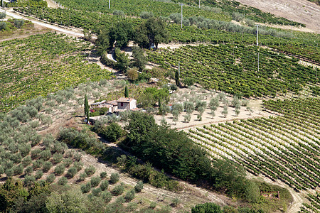 圣吉米尼纳诺周围的山丘 托斯卡纳灌木农场植被丘陵建筑学葡萄园风景晴天旅游传统图片