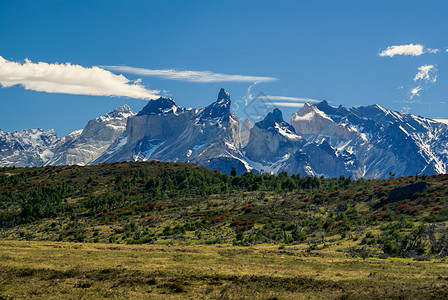 托雷斯德尔培恩山脉山峰风景草地树木全景图片