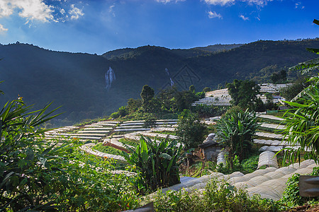 风景农村天空晴天地标蓝色场地旅行太阳阳台阳光图片