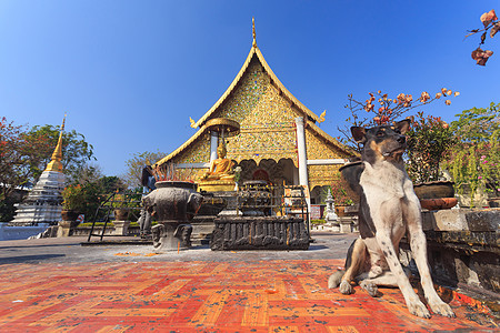 泰国寺庙大理石旅游连体雕像佛教徒艺术旅行宗教雕塑历史图片