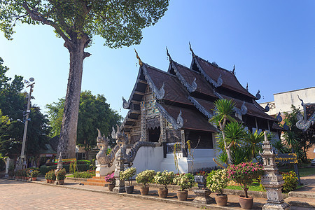 泰国寺庙艺术宗教建筑学雕塑旅游大理石旅行神社假期金子图片