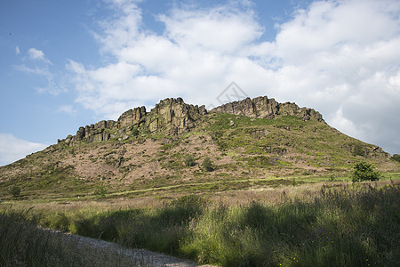 蟑螂爬坡人心砂岩公园石头峰区岩石时代绿色植物运动图片