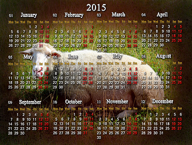 2015年日历 背景上有绵羊数字组织时间草原会议议程农业英语胡须牧场背景