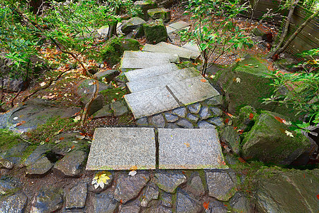 日本花园的石台阶后院叶子植物树叶花岗岩苔藓脚步旅游楼梯旅行图片