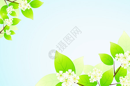 树叶和花花花朵蓝色绿色花瓣艺术白色框架图片
