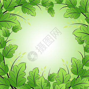 带树叶的绿色框架绘画插图背景图片