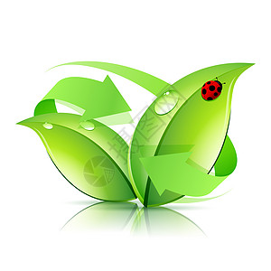 Logo 自然循环利用漏洞瓢虫植物商业生态环境标识绿色植物群生物图片