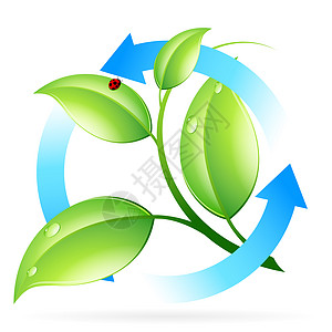 绿色新休假图标插图植物生长生物回收生态标识白色概念图片