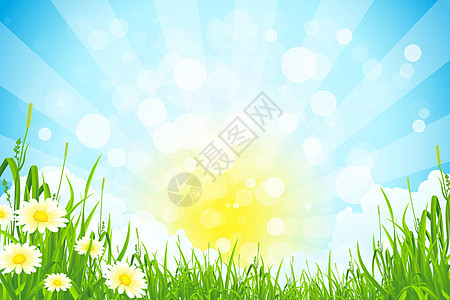 绿色夏月背景天空射线环境火花场景蓝色阳光土地植物太阳图片