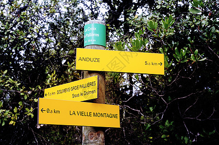指明指示的标志植物公园阴影绿色木头小路森林树干黄色指导图片