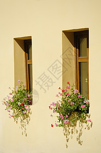 窗户房子古董建筑学建造建筑框架背景图片