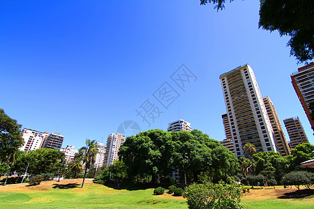布宜诺斯艾利斯广场城市绿色建筑植物天空建筑学蓝色大厦途径公园图片
