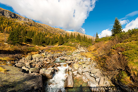 阿达米洛特伦托 意大利冒险蓝色高山树木季节激流旅行国家松树花岗岩图片