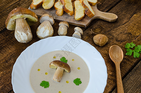 蘑菇汤奶油团体起动机草本植物营养味道勺子餐厅午餐食物盘子图片