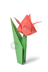 折纸郁金香红色游戏折叠紫丁香叶子爱好绿色白色图片