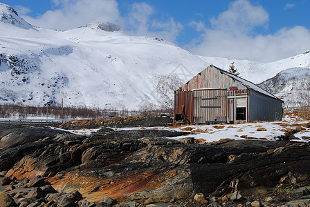 lofoten 宝箱旅行吸引力小屋水产钓鱼游客旅游风景鳕鱼海岸图片