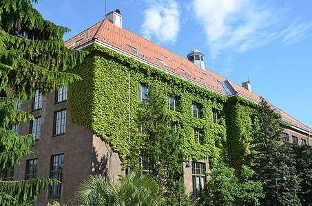 A 奥斯陆大学自然历史博物馆奥斯陆大学旅行自然地质学游客吸引力植物园植物学动物学历史旅游图片