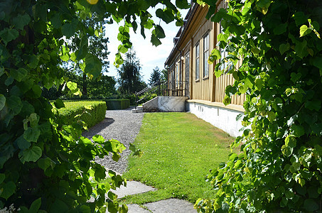 植物园大学奥斯陆花园吸引力物园民众植物园植物学旅游游客图片