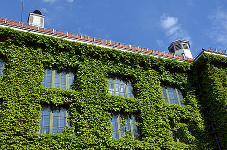 A 奥斯陆大学自然历史博物馆奥斯陆大学地质学植物园旅游吸引力游客植物学历史自然旅行动物学图片