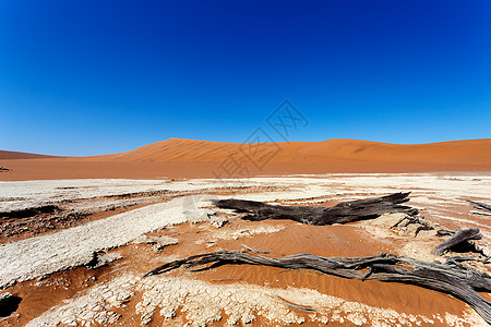 纳米布沙漠中隐藏的Vlei美丽景观公园蓝色纳米布旅行沙丘风景国家太阳旅游木头图片