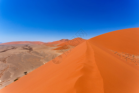 纳米比亚索苏斯黎 45 号沙丘 从纳米比亚苏斯黎 45 号沙丘的山顶望去 从沙丘山顶望去天空荒野风景沙漠孤独航向纳米布公园太阳蓝图片