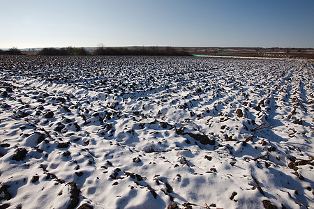 雪雪场谷物土地粮食场地环境农村生长生活食物天气图片