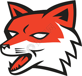 红狐头咆哮动物野生动物艺术品插图野狗犬类图片