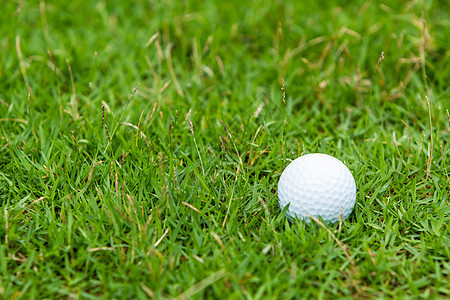 绿色草地上的高尔夫球宏观推杆白色运动场地球座球道游戏草皮图片