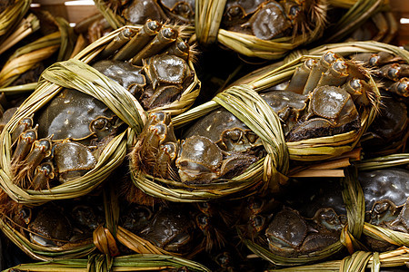 毛蟹螃蟹团体手套季节贝类食物美食海鲜居住绿色图片